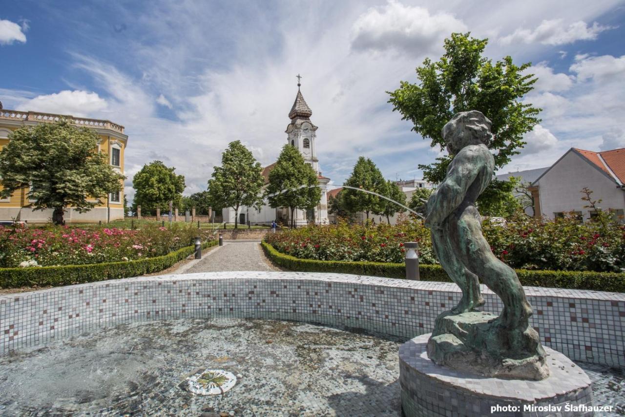Vila Rosa Vukovar Bed and Breakfast Eksteriør billede