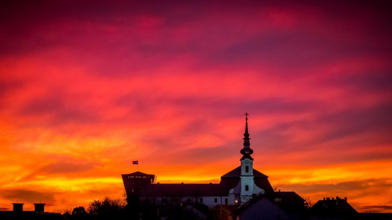 Vila Rosa Vukovar Bed and Breakfast Eksteriør billede