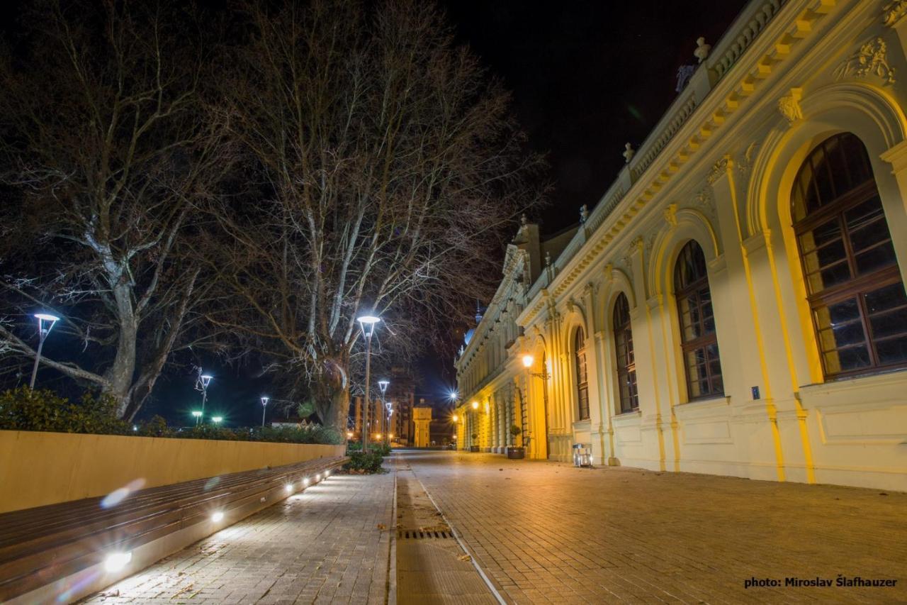 Vila Rosa Vukovar Bed and Breakfast Eksteriør billede
